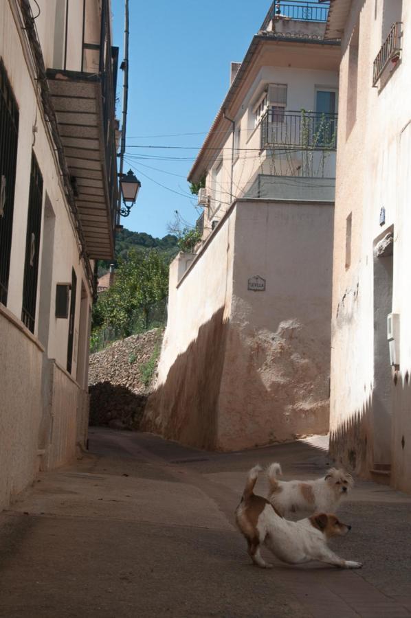 Casa Beatles Del Valle Pinos del Valle 외부 사진